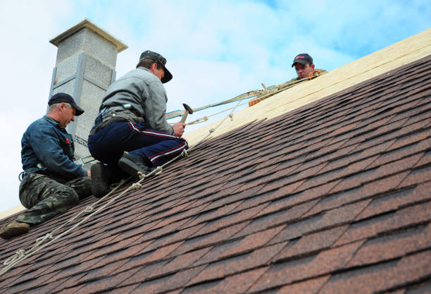 Quick and Trustworthy Emergency Roof Repair Services in Woodcrest, CA